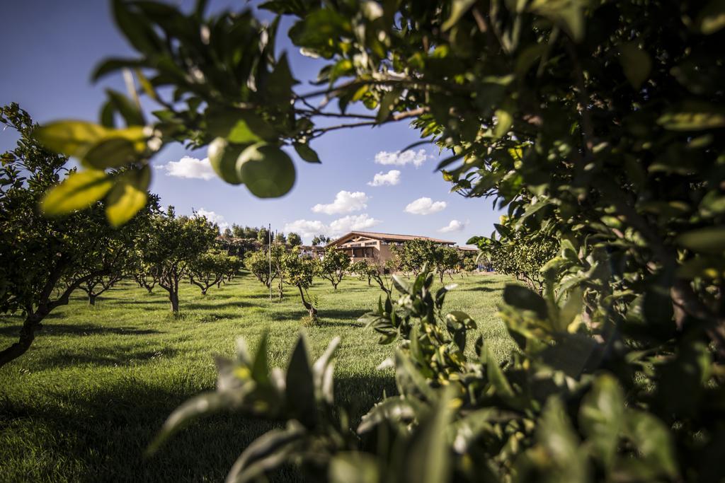 Agriturismo Il Giriatello クロトーネ エクステリア 写真