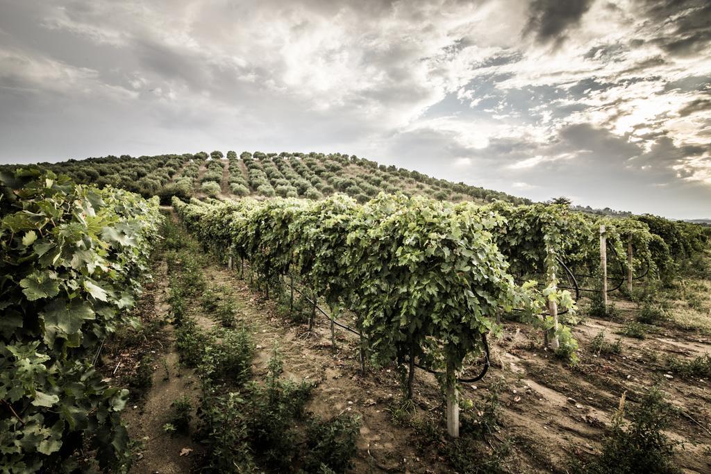 Agriturismo Il Giriatello クロトーネ エクステリア 写真