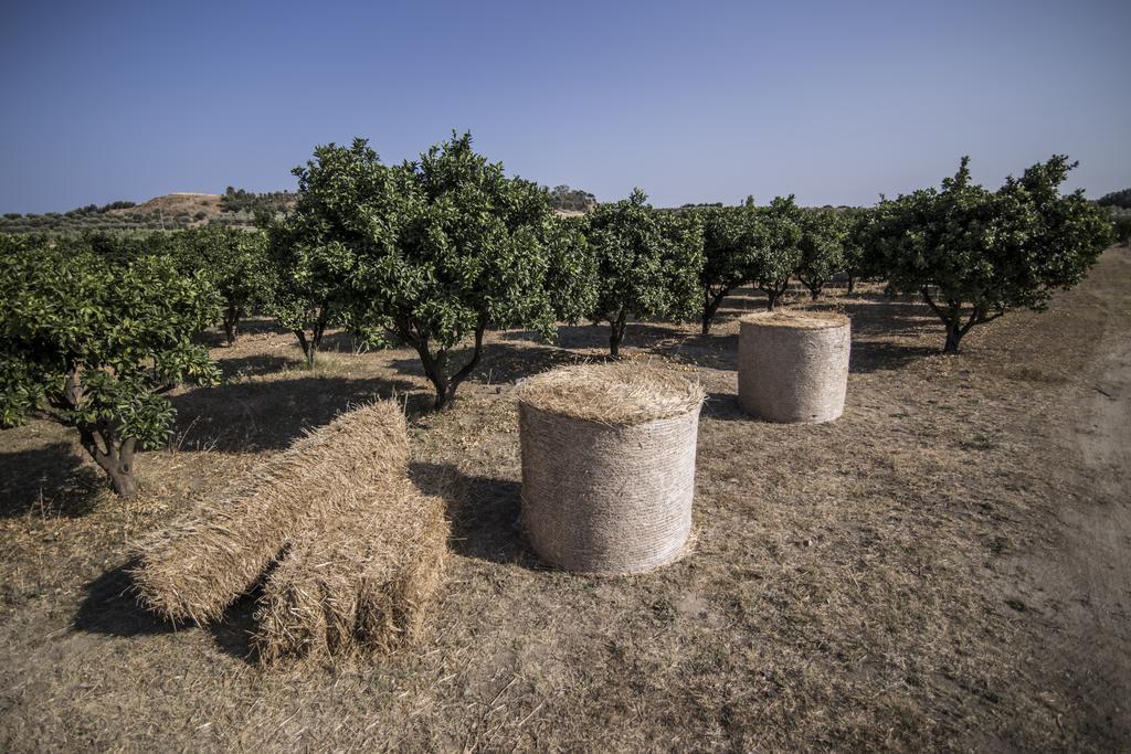 Agriturismo Il Giriatello クロトーネ エクステリア 写真