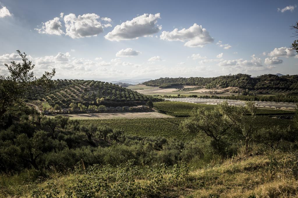 Agriturismo Il Giriatello クロトーネ エクステリア 写真